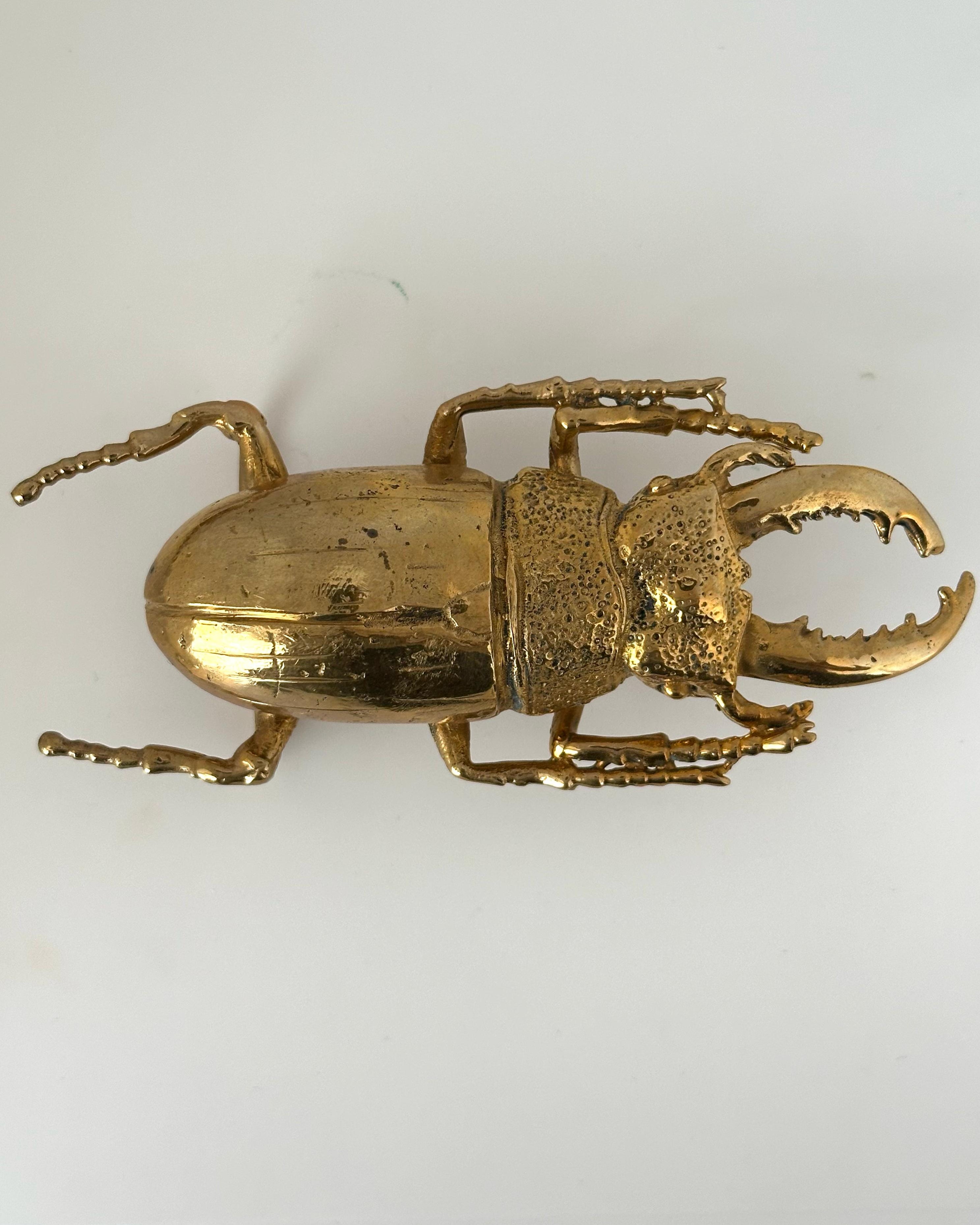 Hebilla de Cinturón